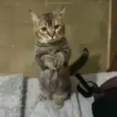 🎵 TIKTOKeando 27🎵 19