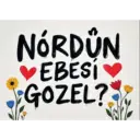 Vıddıdı 20