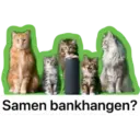Louis de kat van KPN 2