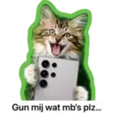 Louis de kat van KPN 1