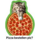 Louis de kat van KPN 4