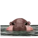 MooDoong Hippo 🦛 MOV 6