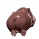 MooDoong Hippo 🦛 MOV 21