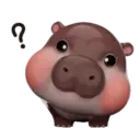 MooDoong Hippo 🦛 MOV 1