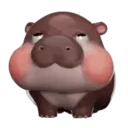 MooDoong Hippo 🦛 MOV 14