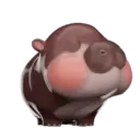 MooDoong Hippo 🦛 MOV 19