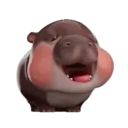 MooDoong Hippo 🦛 MOV 22