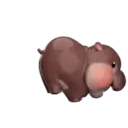 MooDoong Hippo 🦛 MOV 13