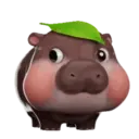 MooDoong Hippo 🦛 MOV 4