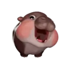 MooDoong Hippo 🦛 MOV 3