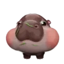 MooDoong Hippo 🦛 MOV 2