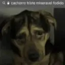 Shitpost 13
