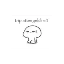 trip attım geldi mi?