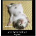 @minnoskedyy seni beklemekten bayıldım