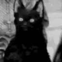 Astúcia de Gato