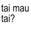 tai mau tai?
