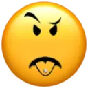 Roblox Face • 10