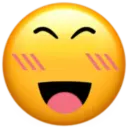 Roblox Face • 5
