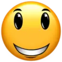 Roblox Face • 16