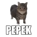 PEPEK