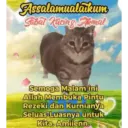 Assalamualaikum Sabat Kucing Akinal Semoga Malam ini Allah Membuka Pintu Rezeki dan Kurnianya Seluas-Luasnya untuk Kita. Amiienn.