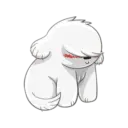 Perrito Blanco 🤍🐾🐩 8