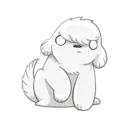 Perrito Blanco 🤍🐾🐩 10