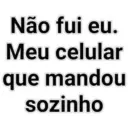 Não fui eu. Meu celular que mandou sozinho