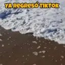 & YA REGRESO TIKTOK