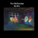 The TikTok ban Be like 11