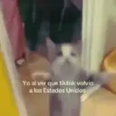 Yo al ver que tiktok volvio a los Estados Unidos