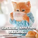 Animalitos virales  TIKTOK✨🐾 1