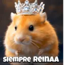 Animalitos virales  TIKTOK✨🐾 5