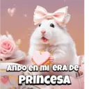 Animalitos virales  TIKTOK✨🐾 14