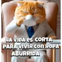 Animalitos virales  TIKTOK✨🐾 9