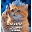 Animalitos virales  TIKTOK✨🐾 8