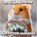 Animalitos virales  TIKTOK✨🐾 12