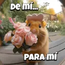 Animalitos virales  TIKTOK✨🐾 15