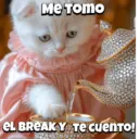Animalitos virales  TIKTOK✨🐾 3