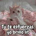 Tú te esfuerzas, carols.zdio yo brillo lit