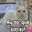 Ay no, que estrés!