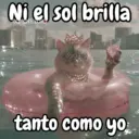 Ni el sol brilla carols.zuro tanto como yo
