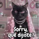 GE Sorry, car is zdo que dijiste?
