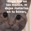 tEngo frío en las manos, m dejas meterlas en tu bóxer¿