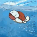 Tortuga Pokémon 😎 15