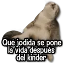 Qué jodida se pone la vida después del kinder