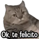 Ok, te felicito