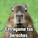 Capibaras con Frases 20