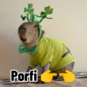 Capibaras con Frases 9