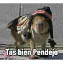 Capibaras con Frases 28